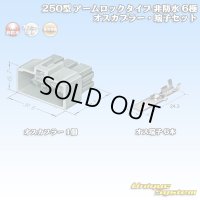 住友電装 250型 アームロックタイプ 非防水 6極 オスカプラー・端子セット