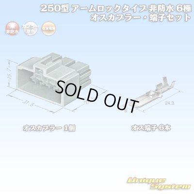 画像1: 住友電装 250型 アームロックタイプ 非防水 6極 オスカプラー・端子セット