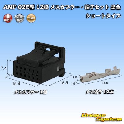 画像1: タイコエレクトロニクス AMP 025型I 非防水 12極 メスカプラー・端子セット 黒色 ショートタイプ