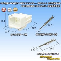 025型II+090型II ハイブリッド 非防水 10極 オスカプラー・端子セット (025型II4極+090型II6極) (オスカプラー非東海理化製)