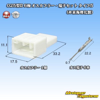 画像1: 025型II 非防水 6極 オスカプラー・端子セット タイプ5 (非東海理化製)