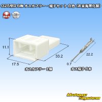 025型II 非防水 6極 オスカプラー・端子セット 白色 (非東海理化製)