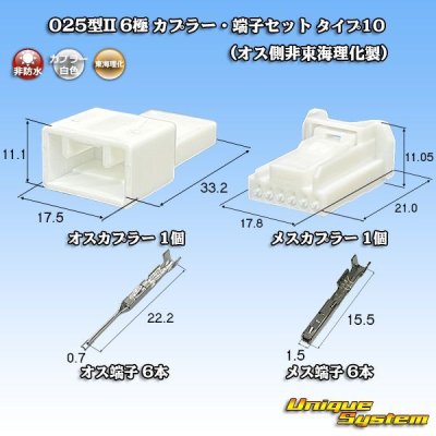 画像1: 東海理化 025型II 非防水 6極 カプラー・端子セット タイプ10 (オス側非東海理化製)