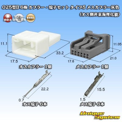 画像1: 東海理化 025型II 非防水 6極 カプラー・端子セット タイプ5 (オス側非東海理化製/メスカプラー灰色)