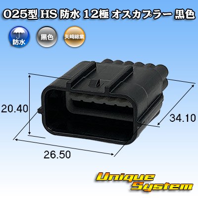 画像1: 矢崎総業 025型 HS 防水 12極 オスカプラー 黒色