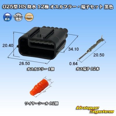 画像1: 矢崎総業 025型 HS 防水 12極 オスカプラー・端子セット 黒色