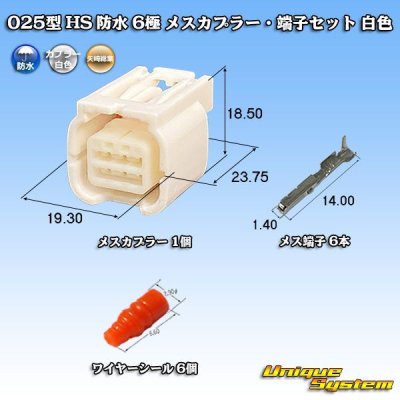 画像1: 矢崎総業 025型 HS 防水 6極 メスカプラー・端子セット 白色