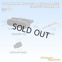 090型 IIシリーズ 防水 6極 オスカプラー・端子セット タイプ3 (オスカプラーのみ非矢崎製)