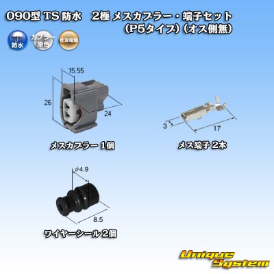 画像1: 住友電装 090型 TS 防水 2極 メスカプラー・端子セット(P5タイプ) (オス側無)