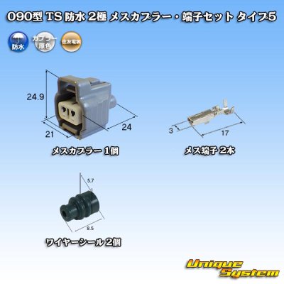 画像1: 住友電装 090型 TS 防水 2極 メスカプラー・端子セット タイプ5