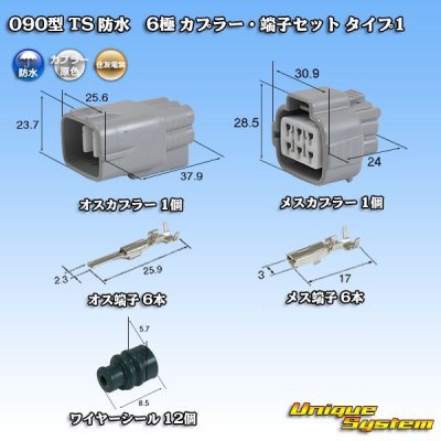 画像1: 住友電装 090型 TS 防水 6極 カプラー・端子セット タイプ1