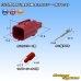 画像1: JST 日本圧着端子製造 025型 MWT 二輪OBD用コネクタ規格 防水 6極 オスカプラー・端子セット (1)