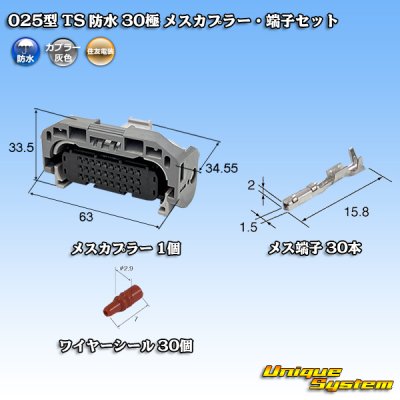 画像1: 住友電装 025型 TS 防水 30極 メスカプラー・端子セット