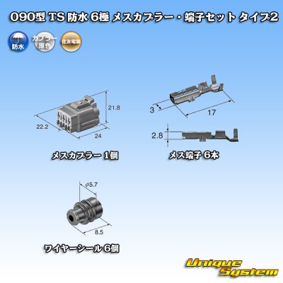 画像5: 住友電装 090型 TS 防水 6極 メスカプラー・端子セット タイプ2