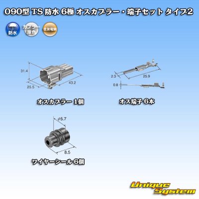 画像5: 住友電装 090型 TS 防水 6極 オスカプラー・端子セット タイプ2