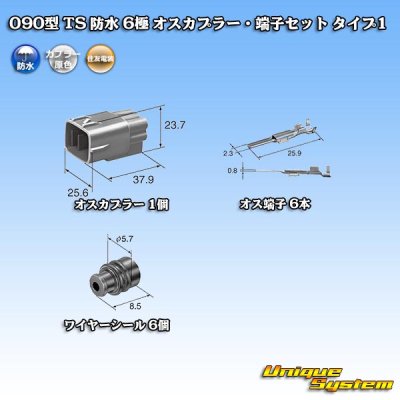 画像5: 住友電装 090型 TS 防水 6極 オスカプラー・端子セット タイプ1