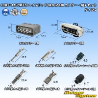 住友電装 090+187型TS ハイブリッド 防水 24極 カプラー・端子セット (メスカプラー：タイプ2) (090型TS 20極+187型TS 4極)