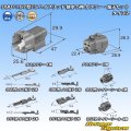 住友電装 090+187型TS ハイブリッド 防水 4極 カプラー・端子セット (090型TS 2極+187型TS 2極)