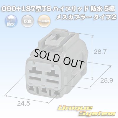 画像1: 住友電装 090+187型TS ハイブリッド 防水 5極 メスカプラー タイプ2 灰色 (090型TS 3極+187型TS 2極)