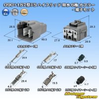 住友電装 090+187型TS ハイブリッド 防水 6極 カプラー・端子セット (090型TS 4極+187型TS 2極)