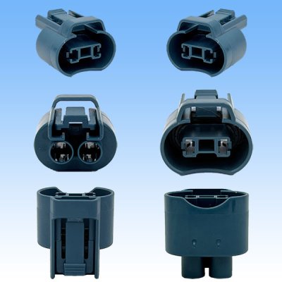 画像3: 住友電装 110型 HM 防水 2極 メスカプラー タイプ2 青色