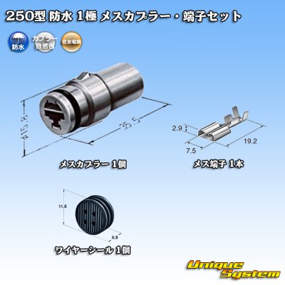 画像1: 住友電装 250型 防水 1極 メスカプラー・端子セット