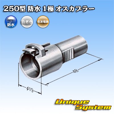 画像1: 住友電装 250型 防水 1極 オスカプラー