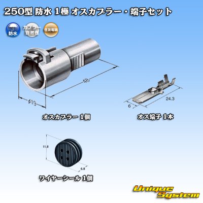 画像1: 住友電装 250型 防水 1極 オスカプラー・端子セット