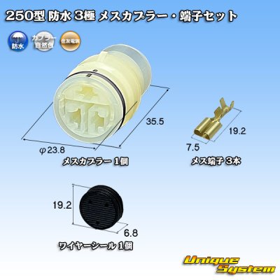 画像1: 住友電装 250型 防水 3極 メスカプラー・端子セット