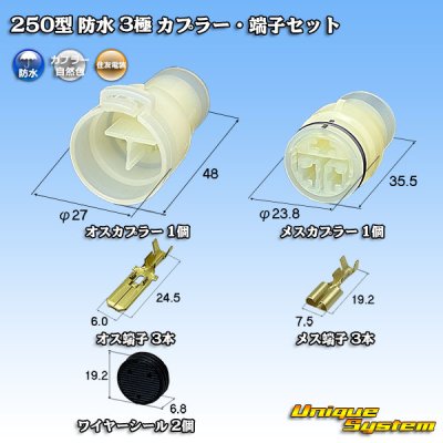 画像1: 住友電装 250型 防水 3極 カプラー・端子セット