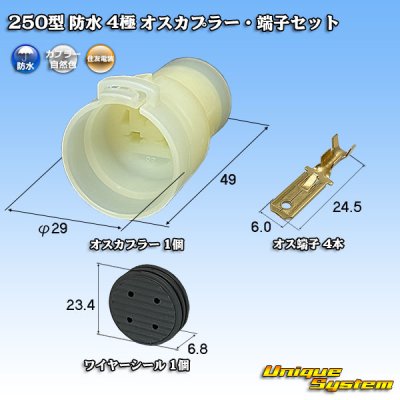 画像1: 住友電装 250型 防水 4極 オスカプラー・端子セット