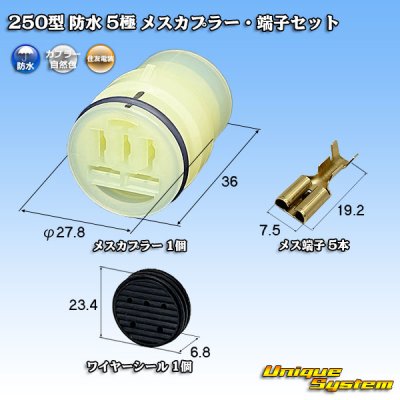 画像1: 住友電装 250型 防水 5極 メスカプラー・端子セット