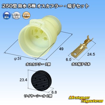 画像1: 住友電装 250型 防水 5極 オスカプラー・端子セット