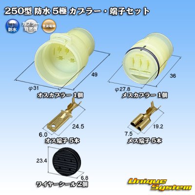 画像1: 住友電装 250型 防水 5極 カプラー・端子セット