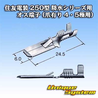 画像3: 住友電装 250型 防水シリーズ用 オス端子 (爪有り 4・5極用)