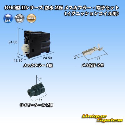 画像1: 矢崎総業 090型II 防水 2極 メスカプラー・端子セット(イグニッションコイル用)