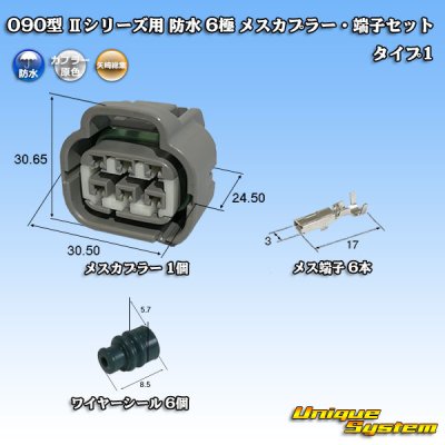 画像1: 矢崎総業 090型II 防水 6極 メスカプラー・端子セット タイプ1