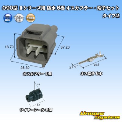 画像1: 矢崎総業 090型II 防水 6極 オスカプラー・端子セット タイプ2