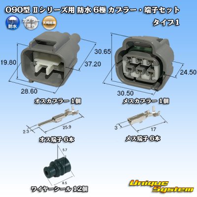 画像1: 矢崎総業 090型II 防水 6極 カプラー・端子セット タイプ1