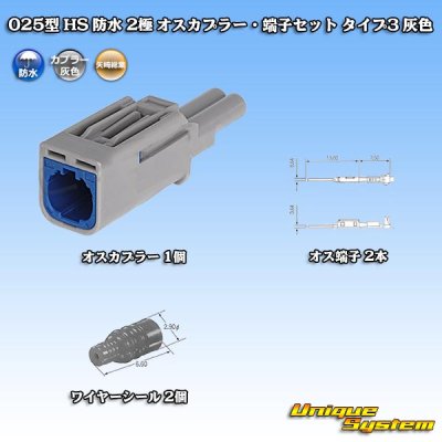 画像1: 矢崎総業 025型 HS 防水 2極 オスカプラー・端子セット タイプ3 灰色