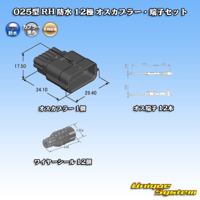 画像2: 矢崎総業 025型 RH 防水 12極 オスカプラー・端子セット