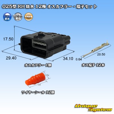 画像1: 矢崎総業 025型 RH 防水 12極 オスカプラー・端子セット