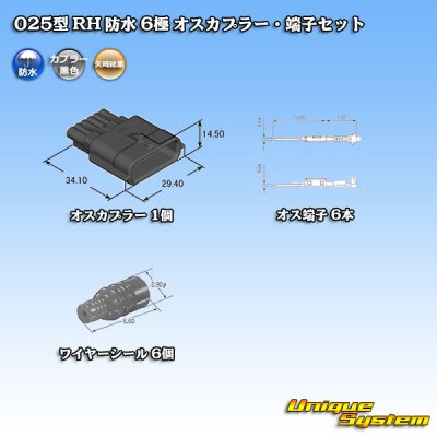 画像5: 矢崎総業 025型 RH 防水 6極 オスカプラー・端子セット タイプ1