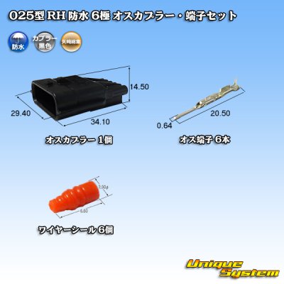 画像1: 矢崎総業 025型 RH 防水 6極 オスカプラー・端子セット タイプ1