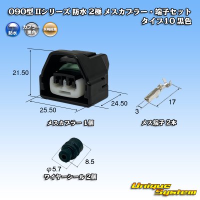 画像1: 矢崎総業 090型II 防水 2極 メスカプラー・端子セット タイプ10 黒色