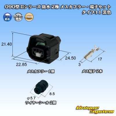 画像1: 矢崎総業 090型II 防水 2極 メスカプラー・端子セット タイプ11 黒色