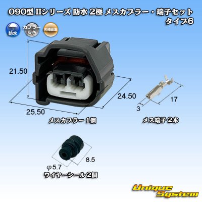 画像1: 矢崎総業 090型II 防水 2極 メスカプラー・端子セット タイプ6