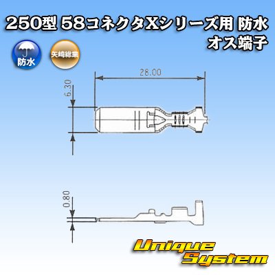 画像3: 矢崎総業 250型 58コネクタ Xタイプ 防水 オス端子