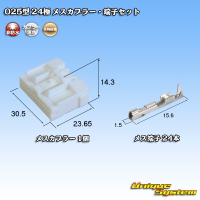 画像1: 矢崎総業 025型 非防水 24極 メスカプラー・端子セット