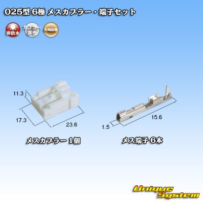 画像1: 矢崎総業 025型 非防水 6極 メスカプラー・端子セット